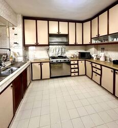 Rajah Tower (D12), Apartment #574250581